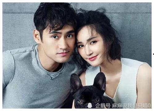 吃大瓜全娱乐圈听我吃瓜爆料,吃大瓜，听我吃瓜爆料